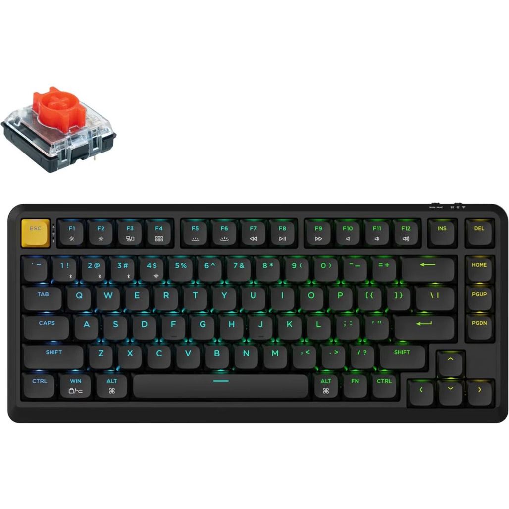 Клавиатура Keychron J1 82 Key K Pro Red Switch RGB Black (J1-H1-UA)
Клавиатура Keychron J1 82 Key K Pro Red Switch RGB Black (J1-H1-UA)