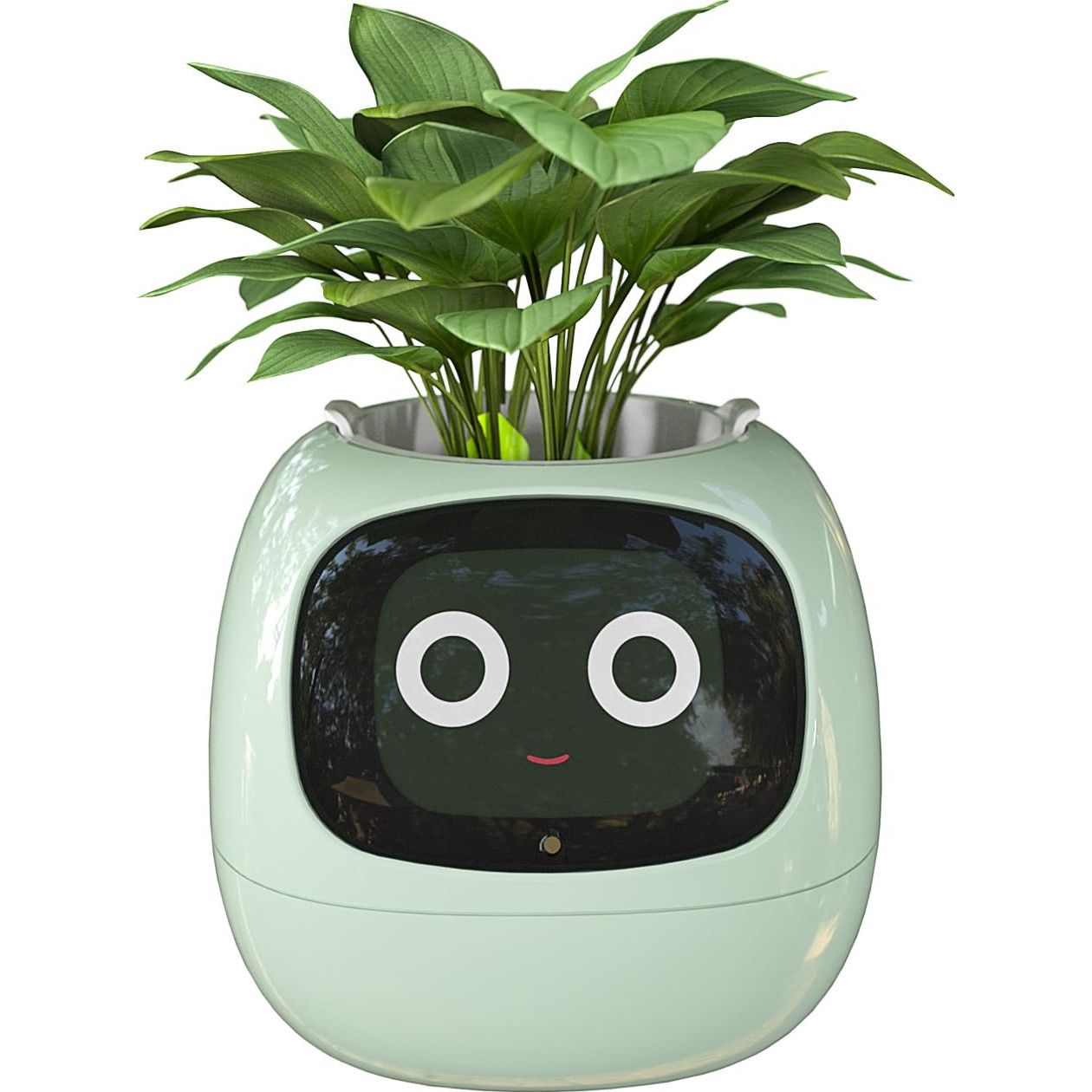 Интерактивный умный горшок для растений Ivy Smart Planter Tuya AI Green
Интерактивный умный горшок для растений Ivy Smart Planter Tuya AI Green