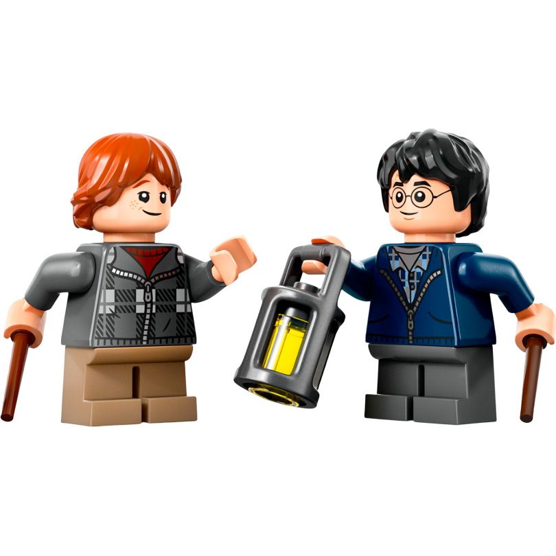 Конструктор LEGO Harry Potter Араґоґ у Забороненому лісі (76434)