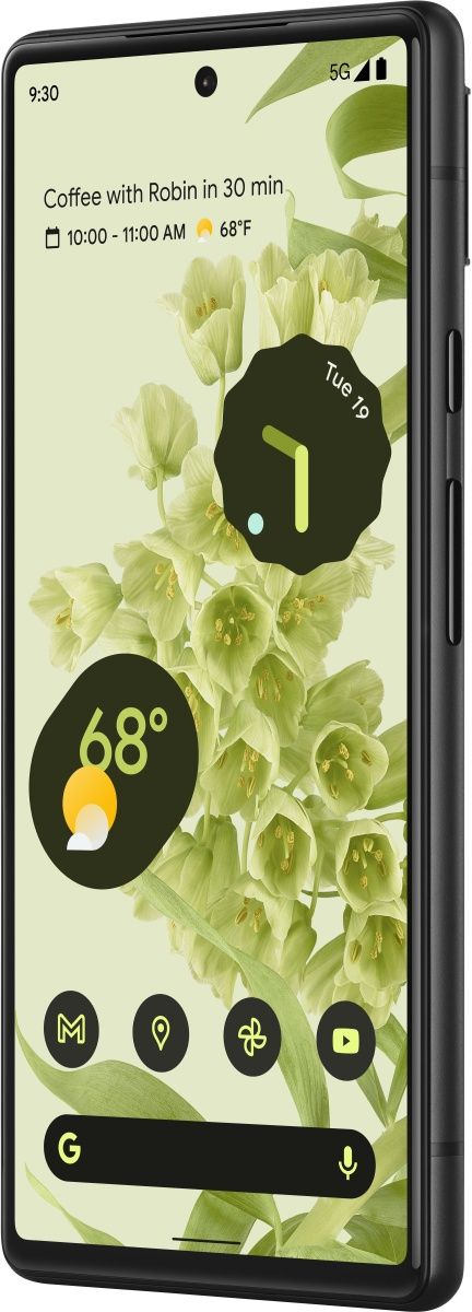 Смартфон Google Pixel 6 8/128GB (Stormy Black) US