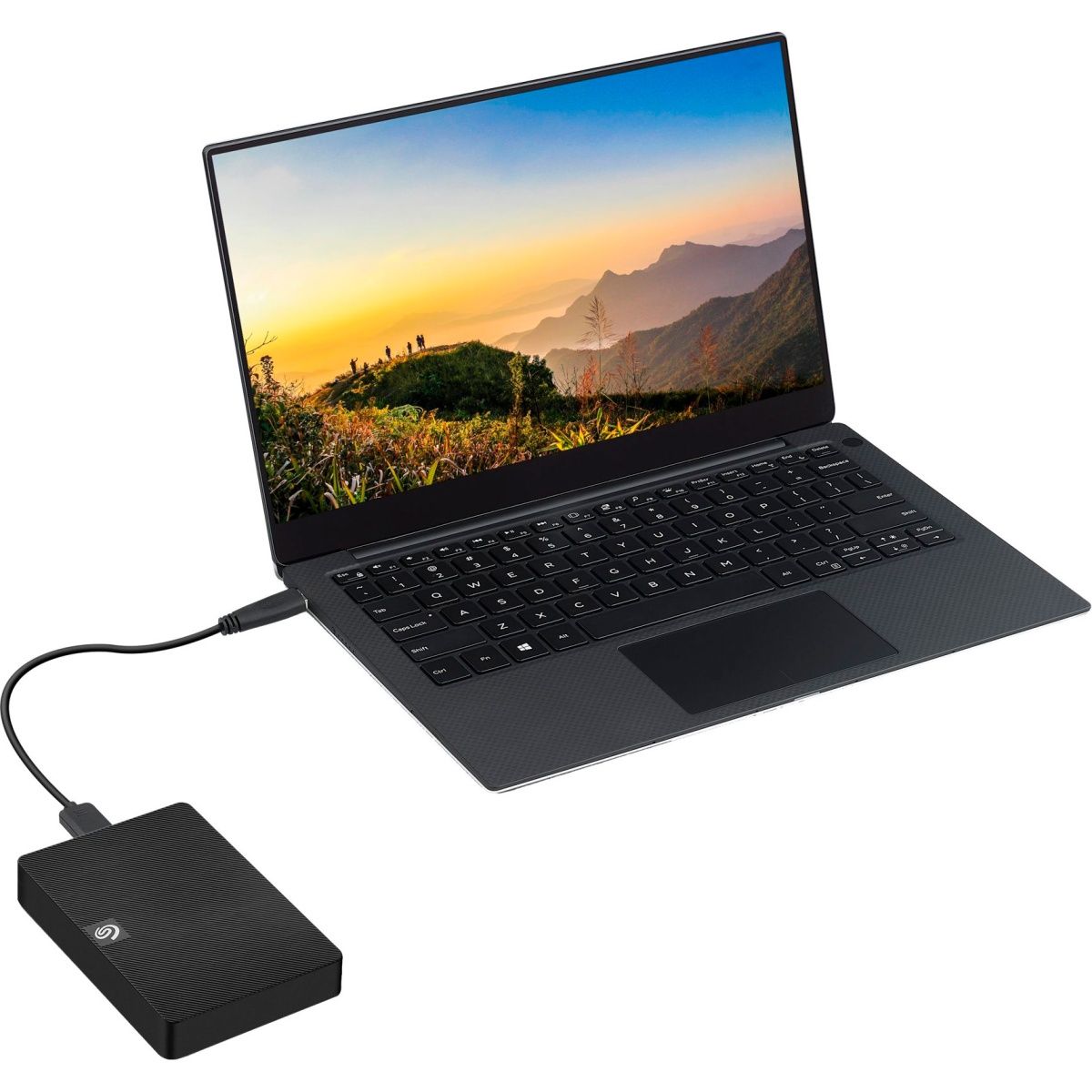 Зовнішній жорсткий диск Seagate Expansion Portable 5TB (STKM5000400) 