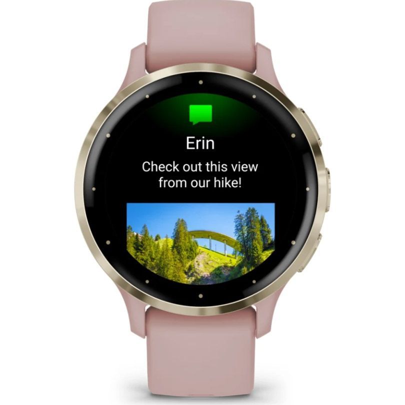 Смарт-годинник Garmin Venu 3S Soft Gold Steel Bezel with Dust Rose Case and Silicone Band (010-02785-03/53)