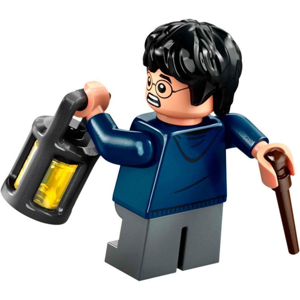 Конструктор LEGO Harry Potter Араґоґ у Забороненому лісі (76434)