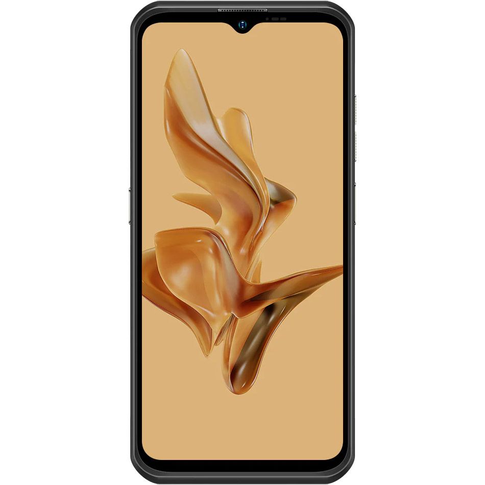 Смартфон Ulefone Armor 17 Pro 8/256GB Black [78438] 