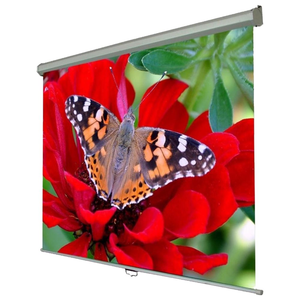 

Проекційний екран Walfix 150 "(SNM-5)