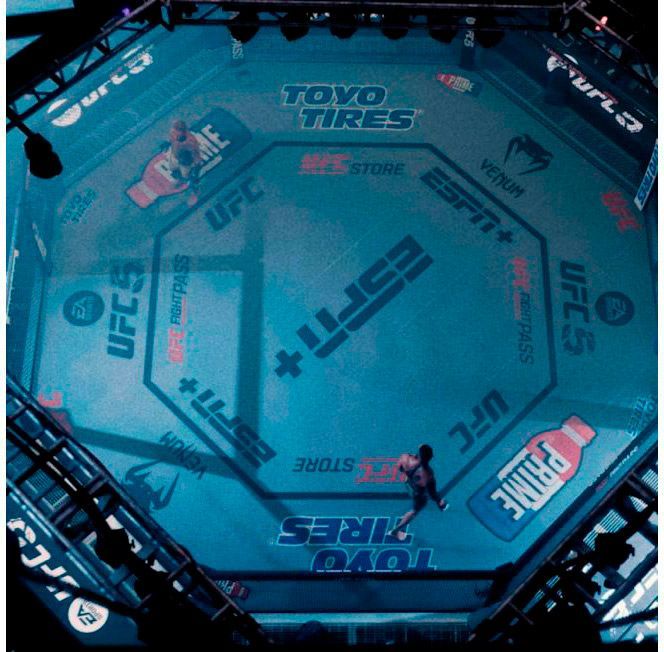 Гра EA SPORTS UFC 5 для PS5 (EN)