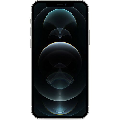 Смартфон Apple iPhone 12 Pro Max 256GB Silver (MGDD3) Apple iPhone 11