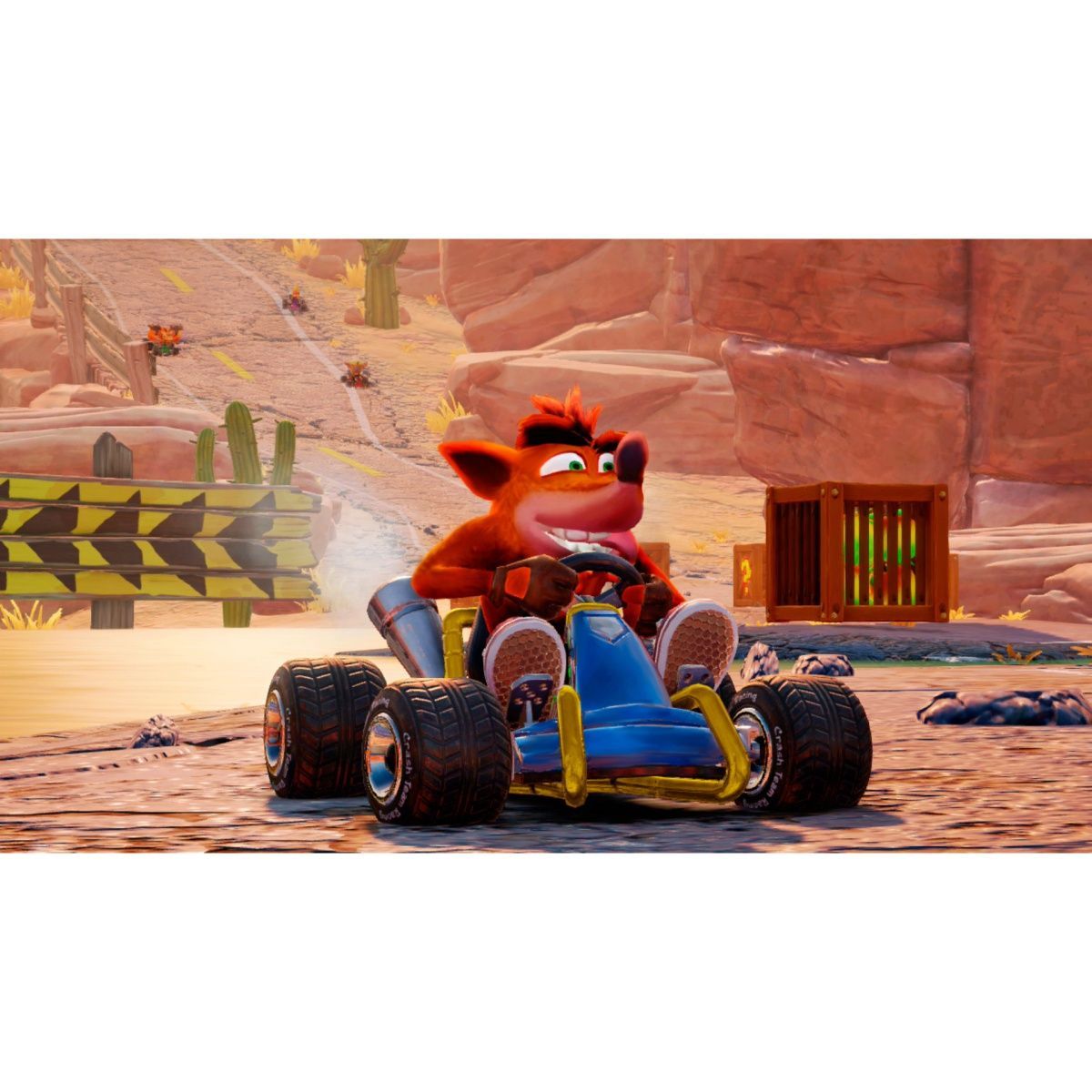 Гра Crash Team Racing Nitro-Fueled для Nintendo Switch (EN)
