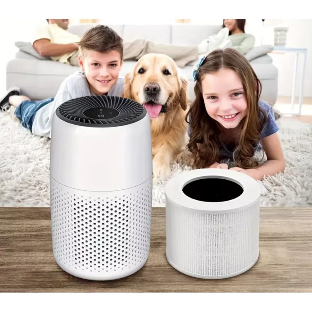 Фільтр для очищувача повітря Levoit Core Mini LRF-C161-WEU (HEACAFLVNEU0077Y) 