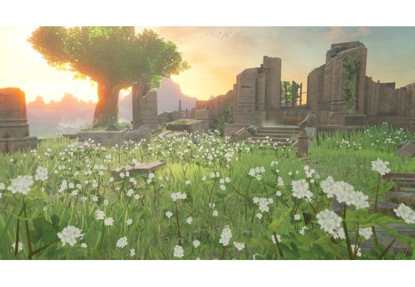 Игра The Legend of Zelda: Breath of the Wild для Nintendo Switch [48302] 