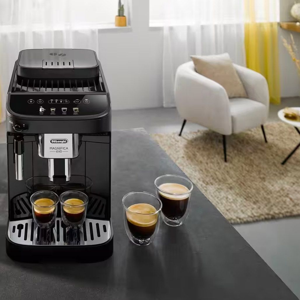 Кавомашина Delonghi Magnifica Evo ECAM 290.21.B