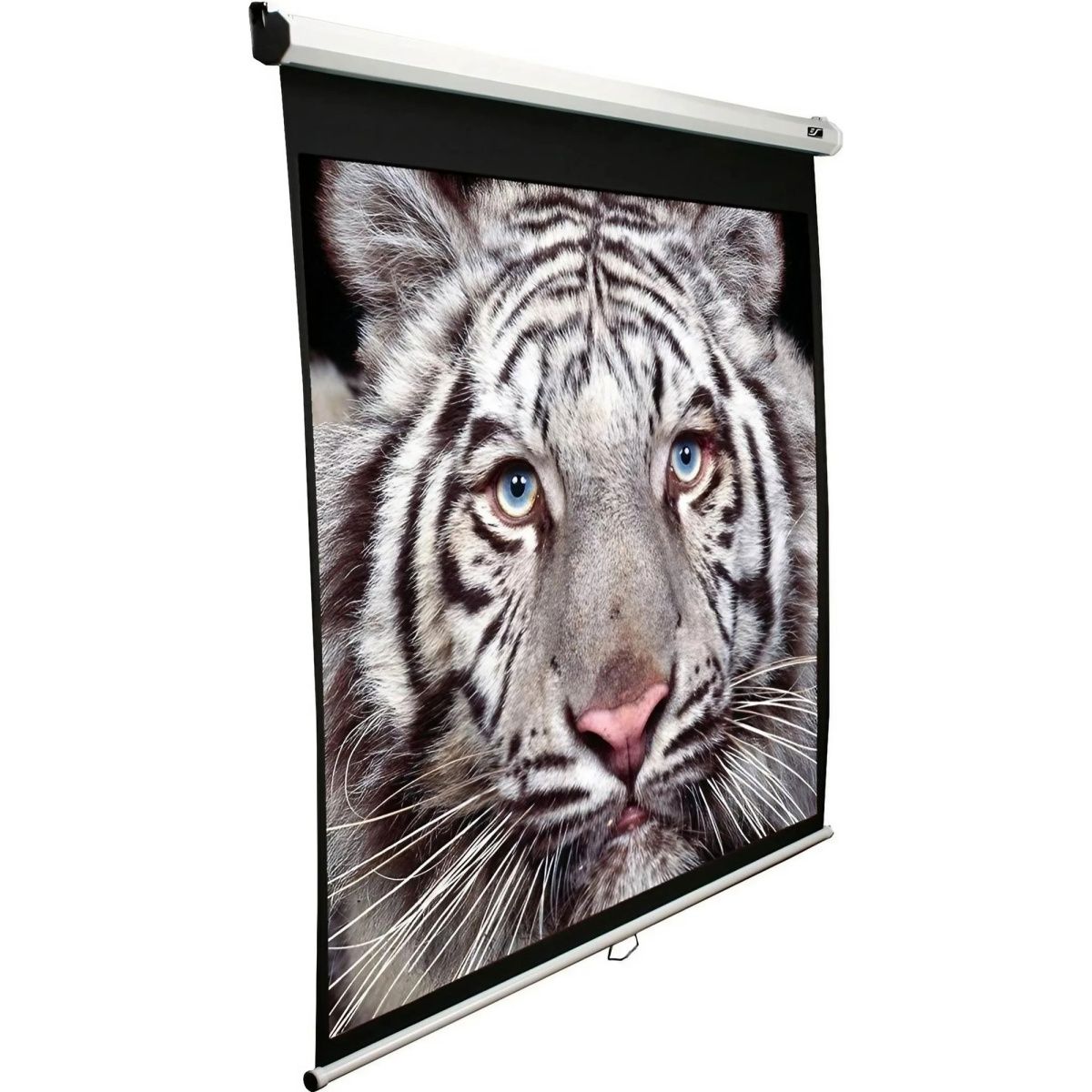 Проекційний екран Elite Screens Manual M136XWS1 136