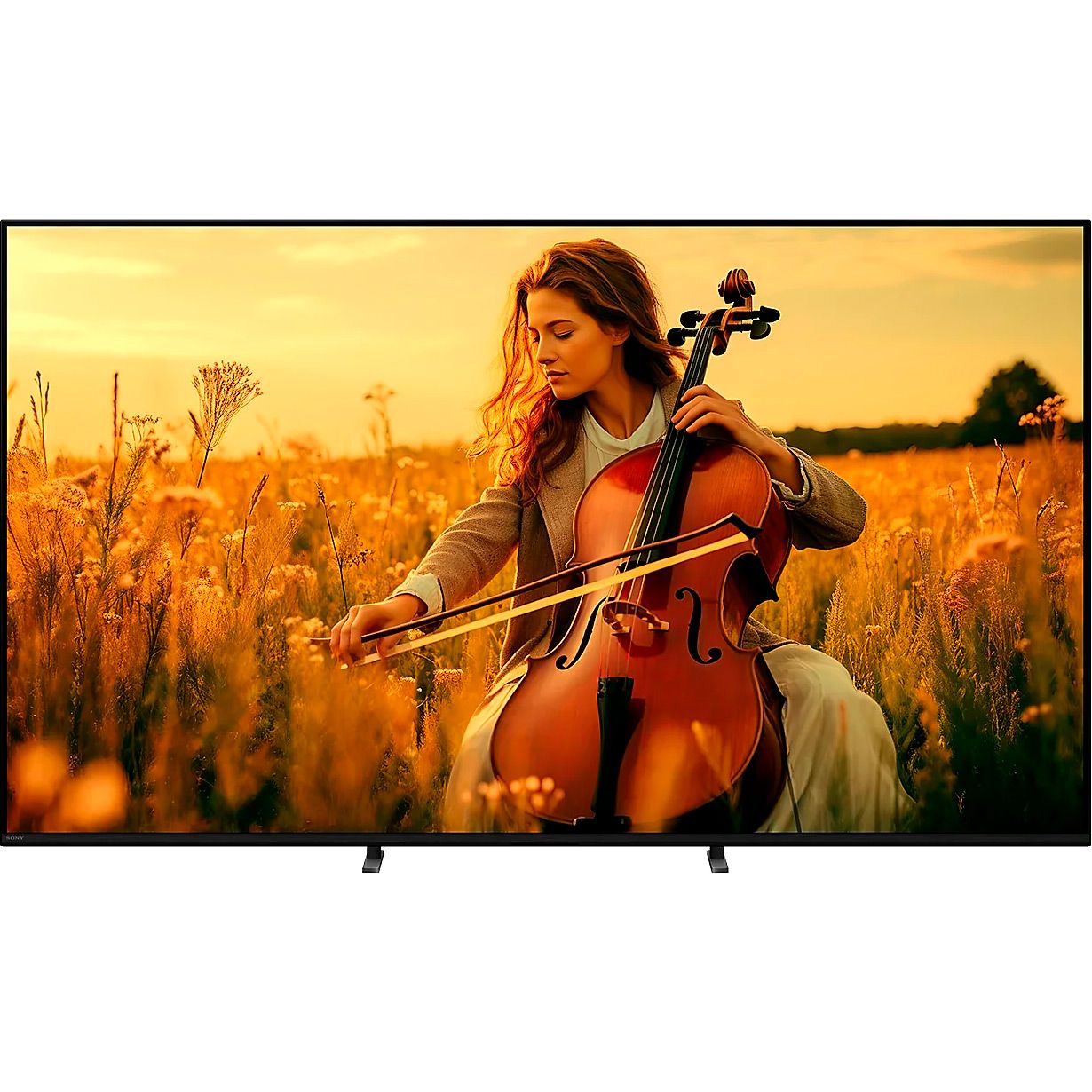 

Телевізор Sony BRAVIA 5 XR5 85" LCD 4K (K-85XR55B) EU