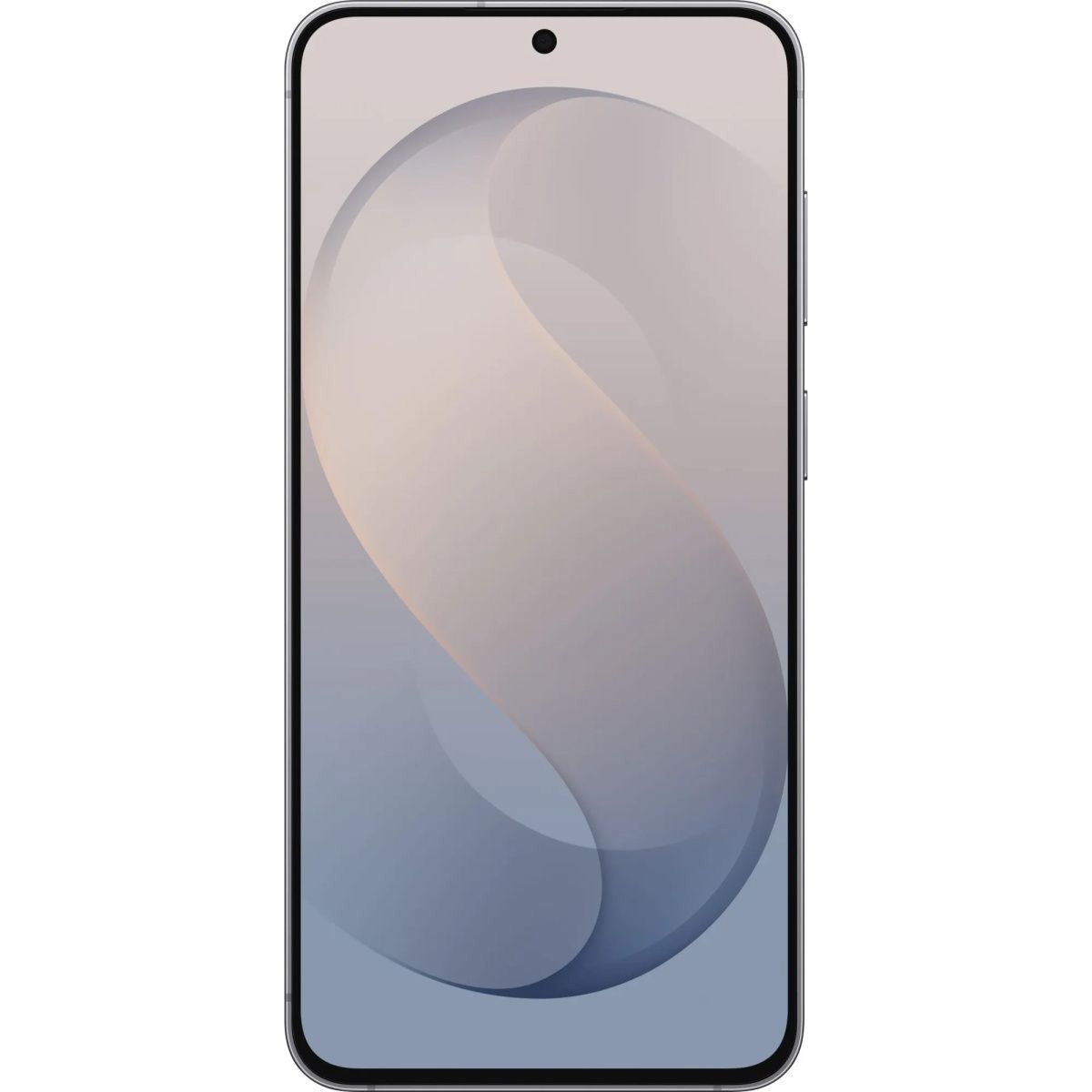 Смартфон Samsung Galaxy S26 FE 8/128GB Graphite (SM-S741BZKD) фото 3