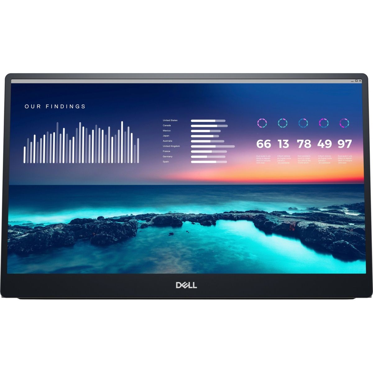 

Портативний монітор Dell P1424H (210-BHQQ)