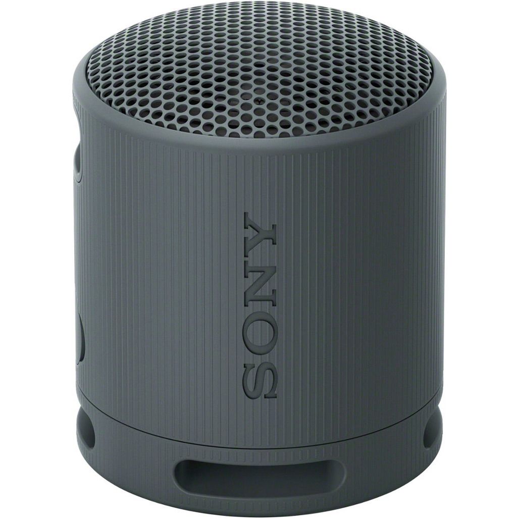 

Портативная акустика Sony SRS-XB100 Black (SRSXB100B)