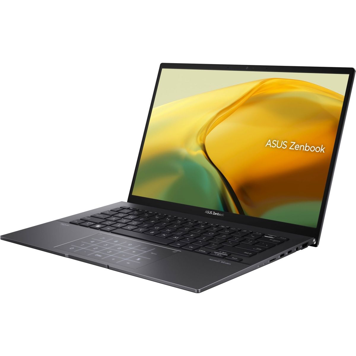 Ноутбук Asus ZenBook 14 UM3402YA (UM3402YA-KM750)