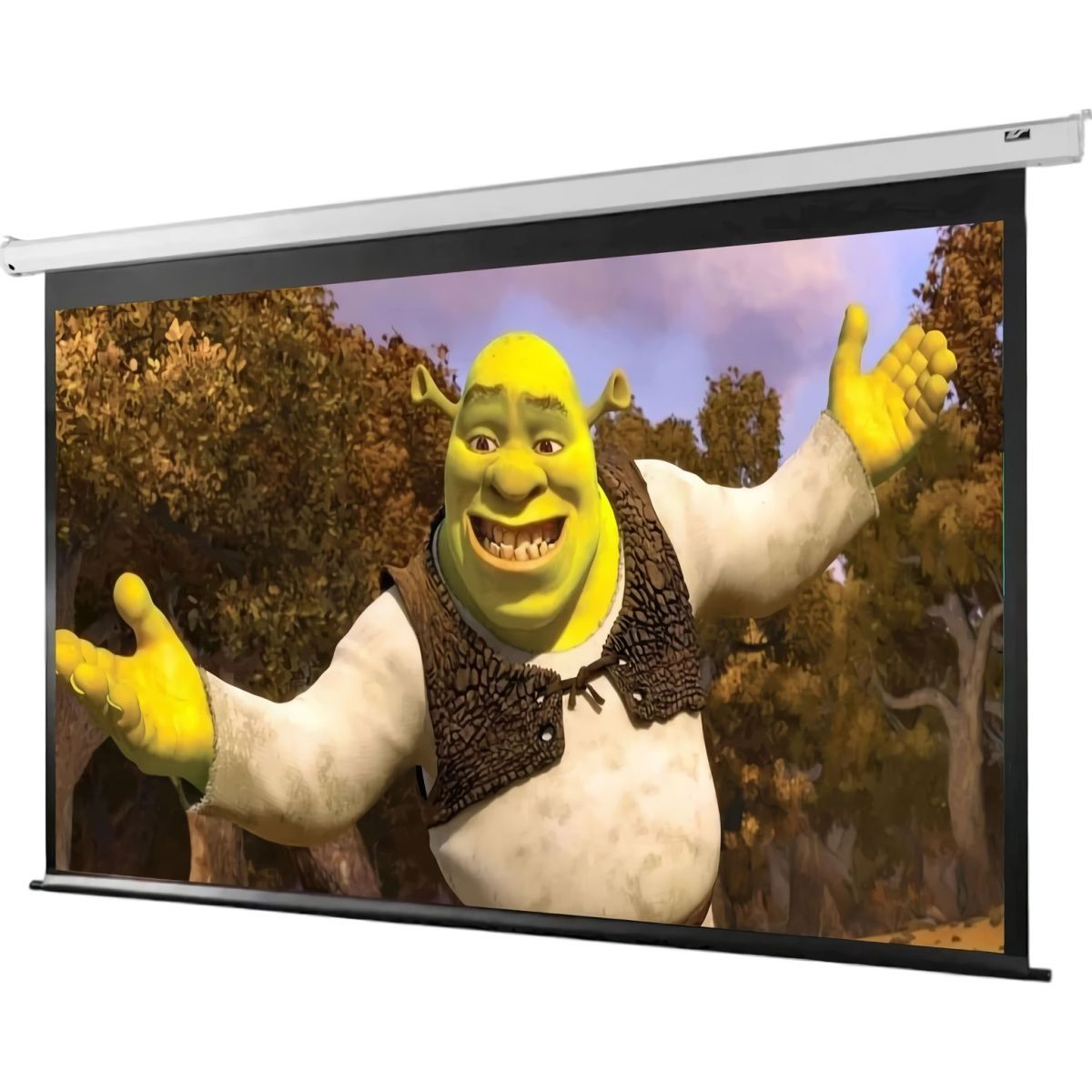 Проекційний екран Elite Screens Manual M100XWH 100