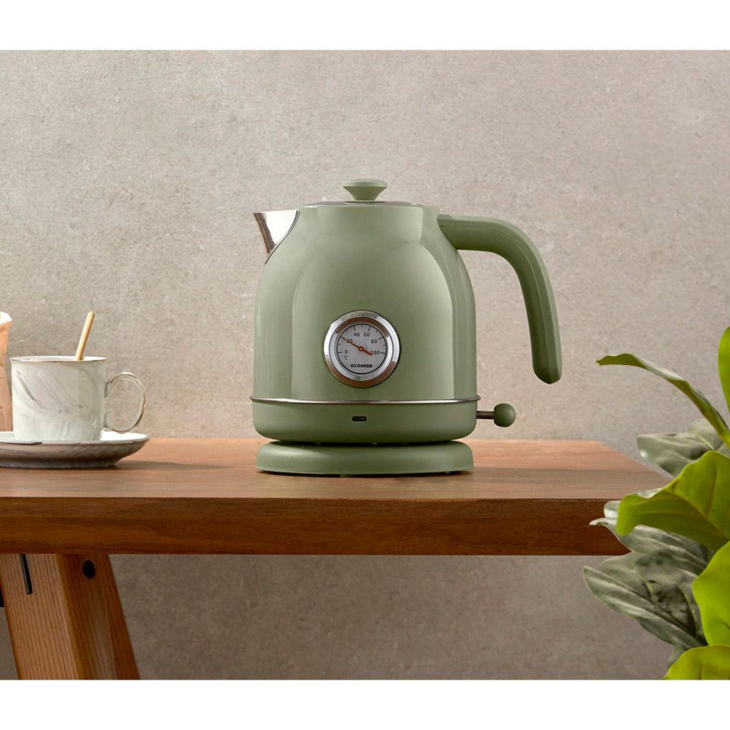 Електрочайник Qcooker Electric Kettle Green (CS-SH01)