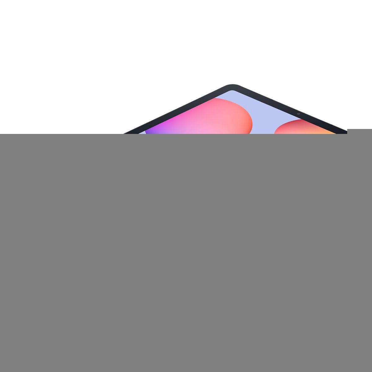 Планшет Samsung Galaxy Tab S6 Lite 2024 10.4 4/128GB Wi-Fi Oxford Gray (SM-P620NZAE) UA-UCRF 