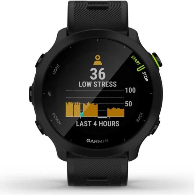 Смарт-годинник Garmin Forerunner 55 Black (010-02562-00/10)