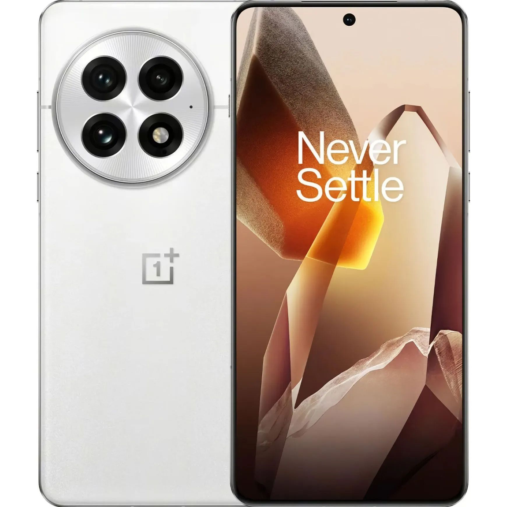 

Смартфон OnePlus 13 24/1TB Arctic Dawn Global