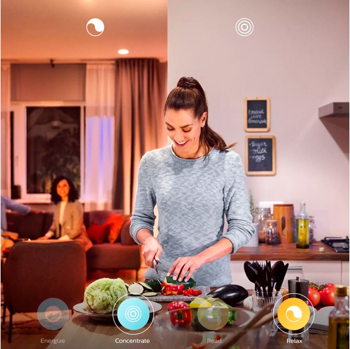 Лампочка Philips Hue E27 White and Color 2шт (8718699673284) [87494] 