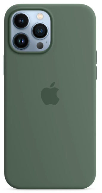 Чохол Silicone Case з MagSafe для Apple iPhone 13 Pro (6.1) (Eucalyptus) ААА