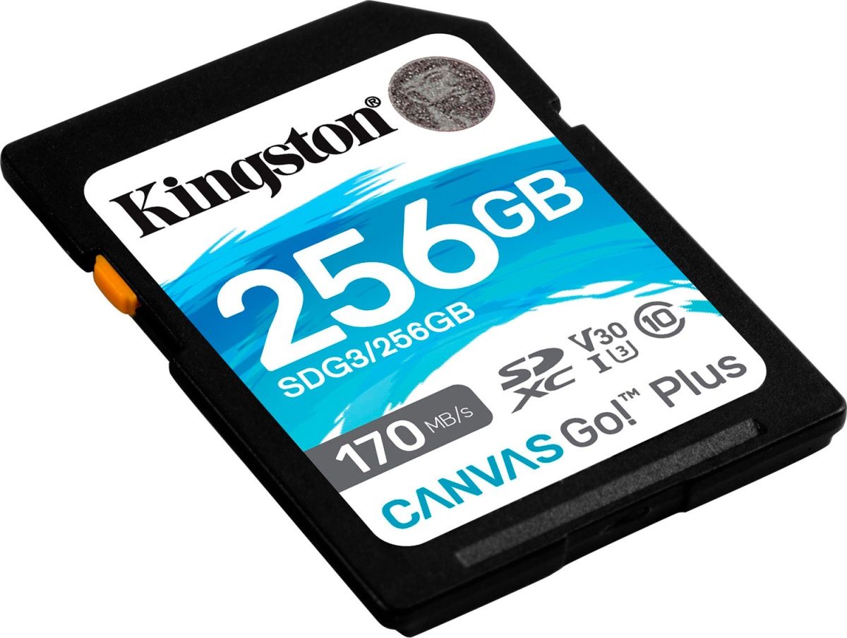 Карта пам`яті Kingston SDXC Canvas Go! Plus 256GB Class 10 UHS-I U3 V30 (SDG3/256GB) 
