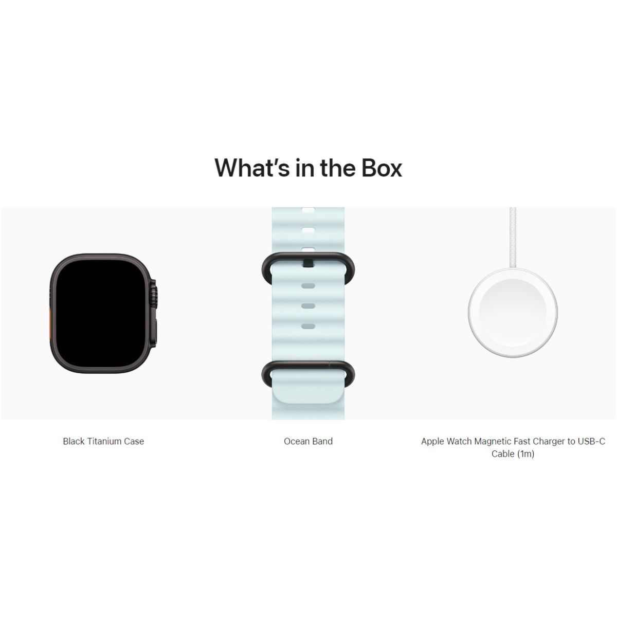 Смарт-годинник Apple Watch Ultra 2 49mm Black Titanium Case with Ice Blue Ocean Band (MYTC3+MYP83)