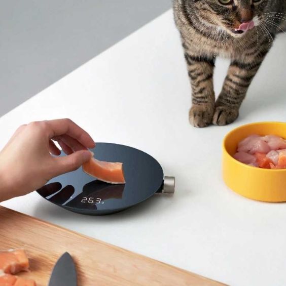 Розумні ваги Xiaomi HOTO Smart Kitchen Scale (QWCFC001)