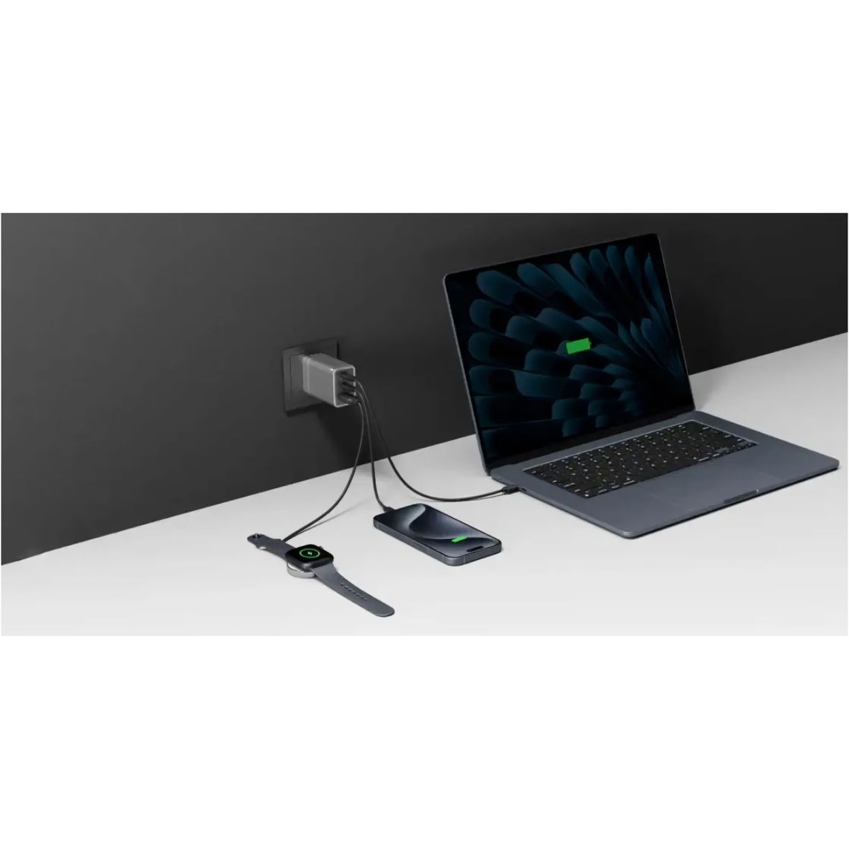 Мережевий зарядний пристрій EcoFlow Rapid Charger 65W + Cable Type-C to Type-C (EFA-65W-GAN-CHARGER-EU)