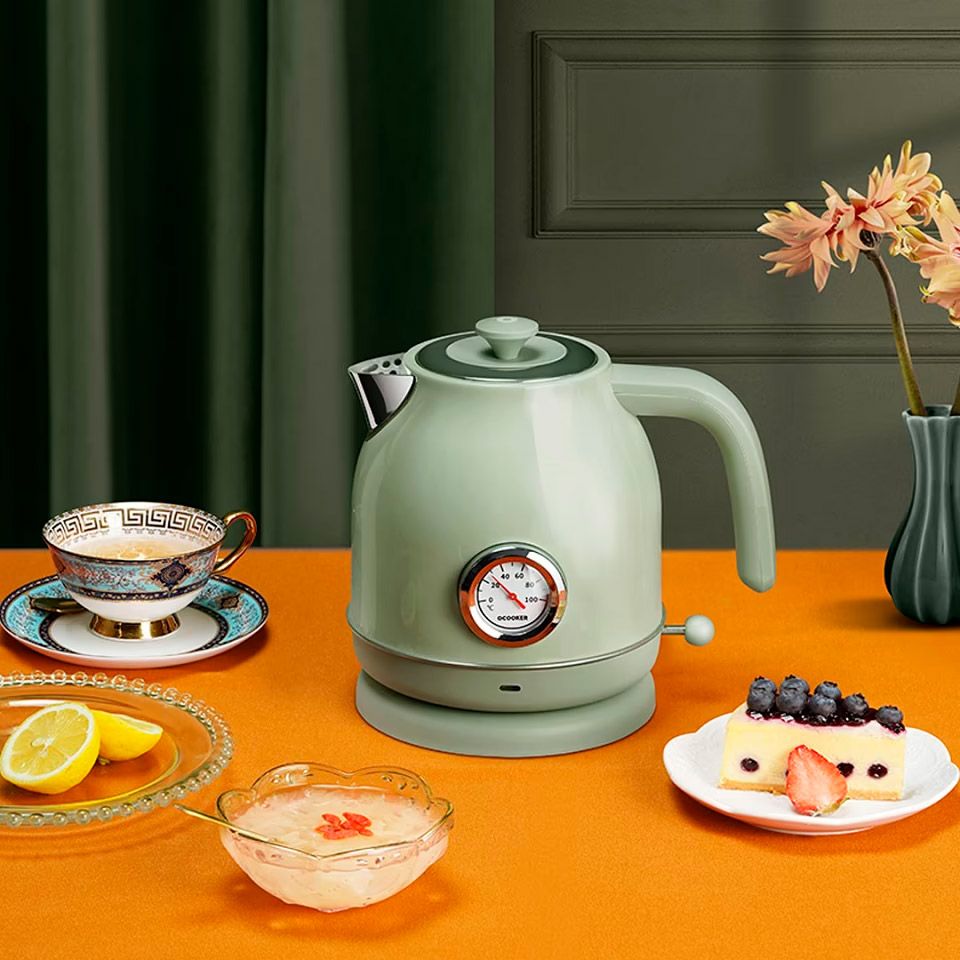 Електрочайник Qcooker Electric Kettle Green (CS-SH01)