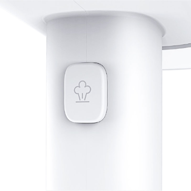 Відпарювач Xiaomi Lofans Steam Brush (GT-301W/GT-306W)