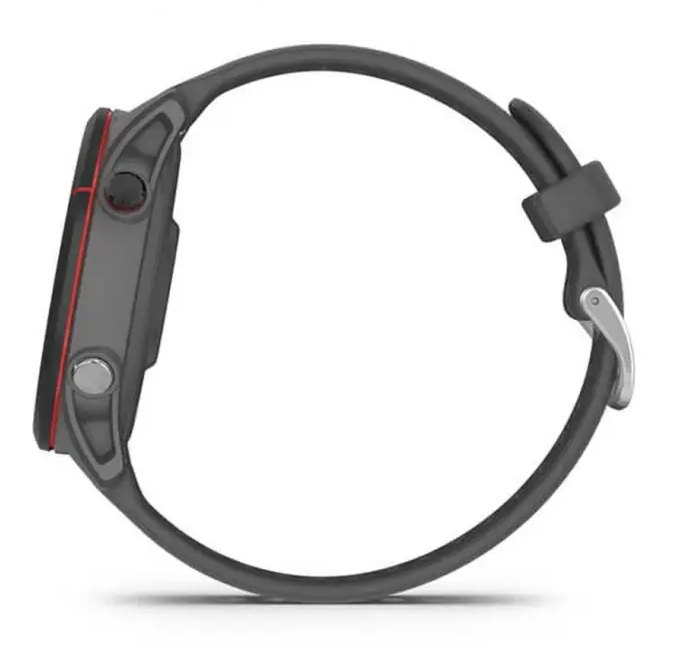 Смарт-годинник Garmin Forerunner 255 Slate Gray (010-02641-00/10)