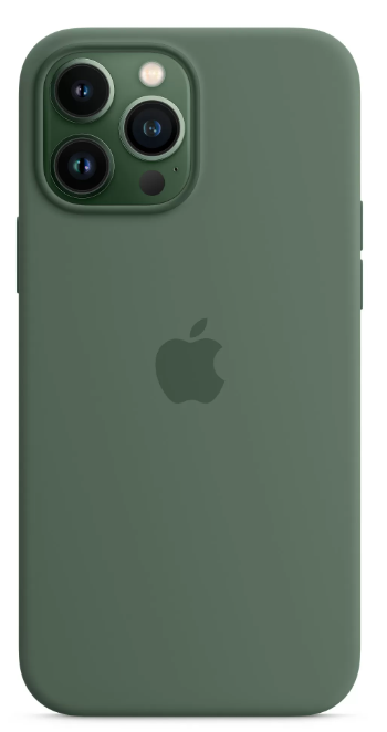 Чохол Silicone Case з MagSafe для Apple iPhone 13 Pro (6.1) (Eucalyptus) ААА