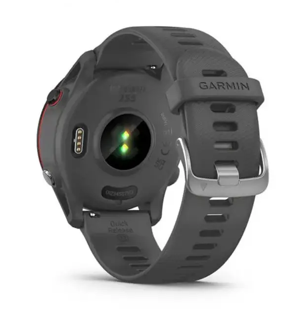 Смарт-годинник Garmin Forerunner 255 Slate Gray (010-02641-00/10)