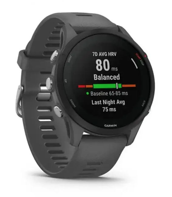 Смарт-годинник Garmin Forerunner 255 Slate Gray (010-02641-00/10)
