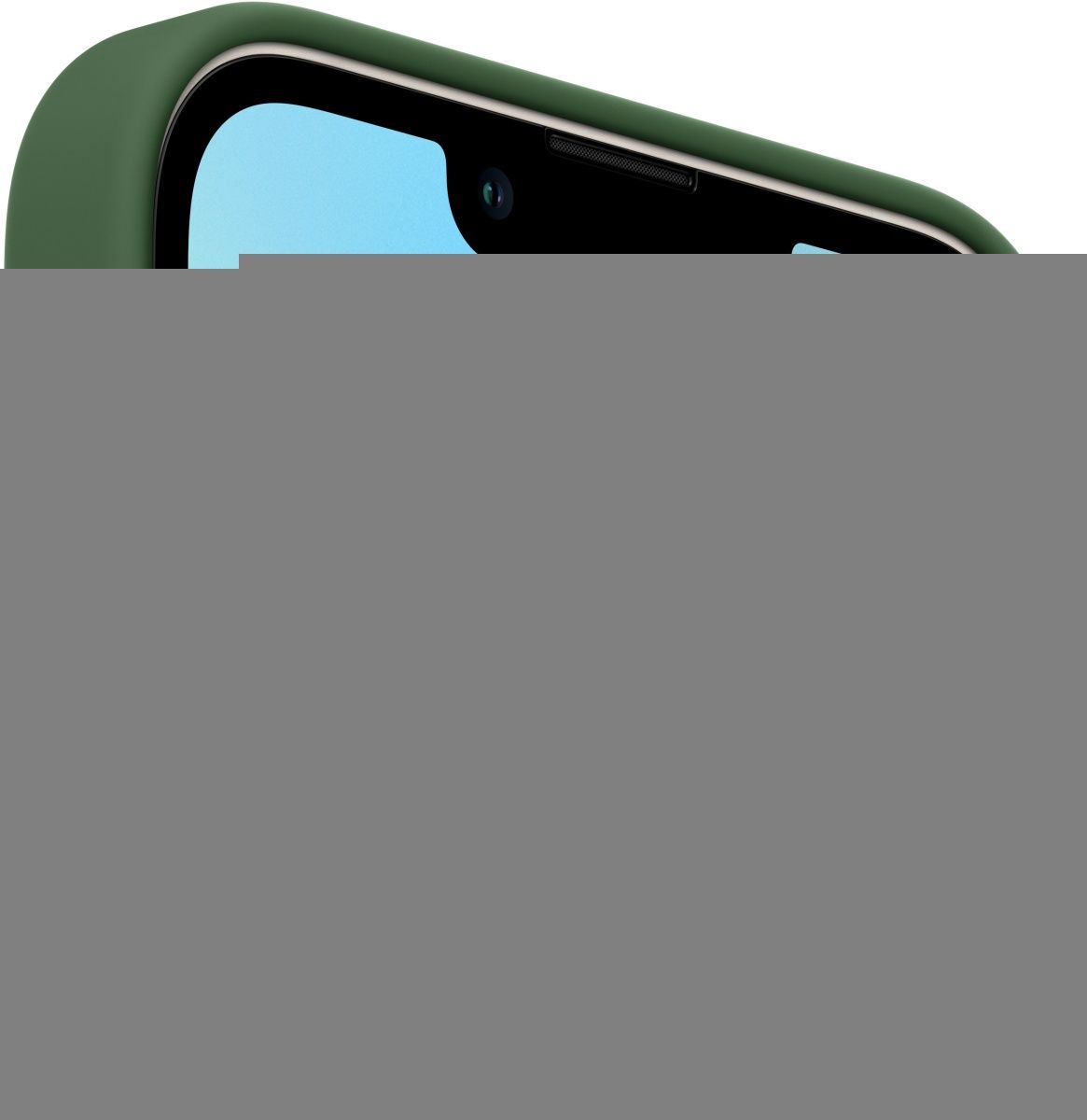 Чохол Silicone Case з MagSafe для Apple iPhone 13 (6.1) (Clover) ААА 