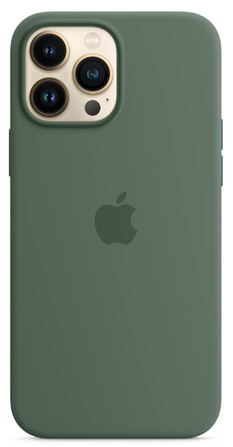 Чохол Silicone Case з MagSafe для Apple iPhone 13 Pro (6.1) (Eucalyptus) ААА