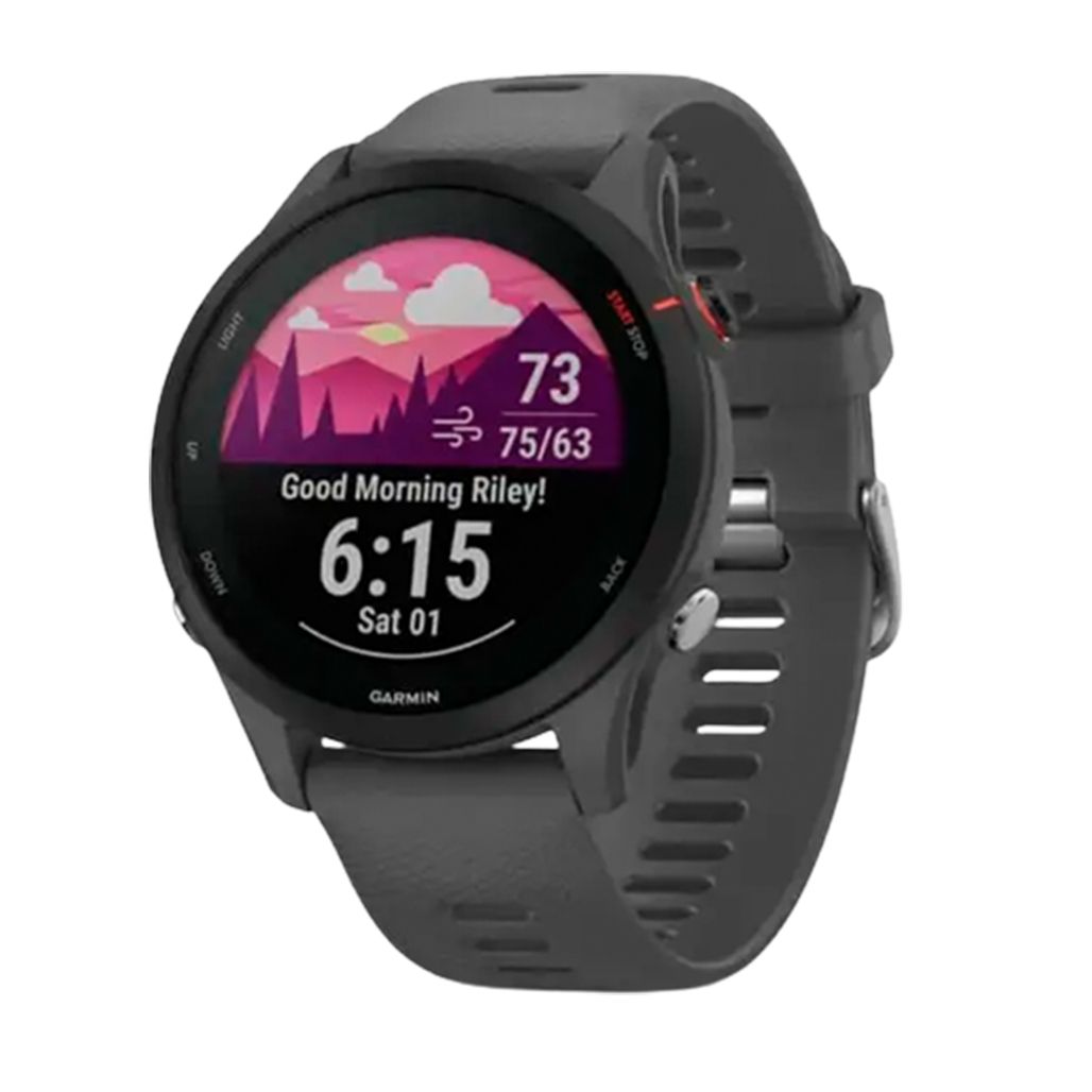 

Смарт-годинник Garmin Forerunner 255 Slate Gray (010-02641-00/10)