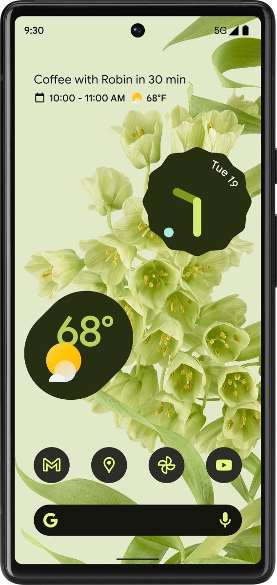 Смартфон Google Pixel 6 8/128GB (Stormy Black) US