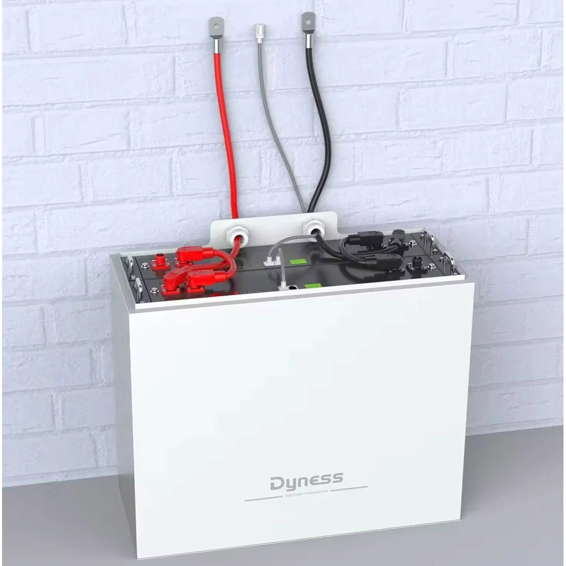 Аккумулятор Dyness LiFePO4 48Vнедорого