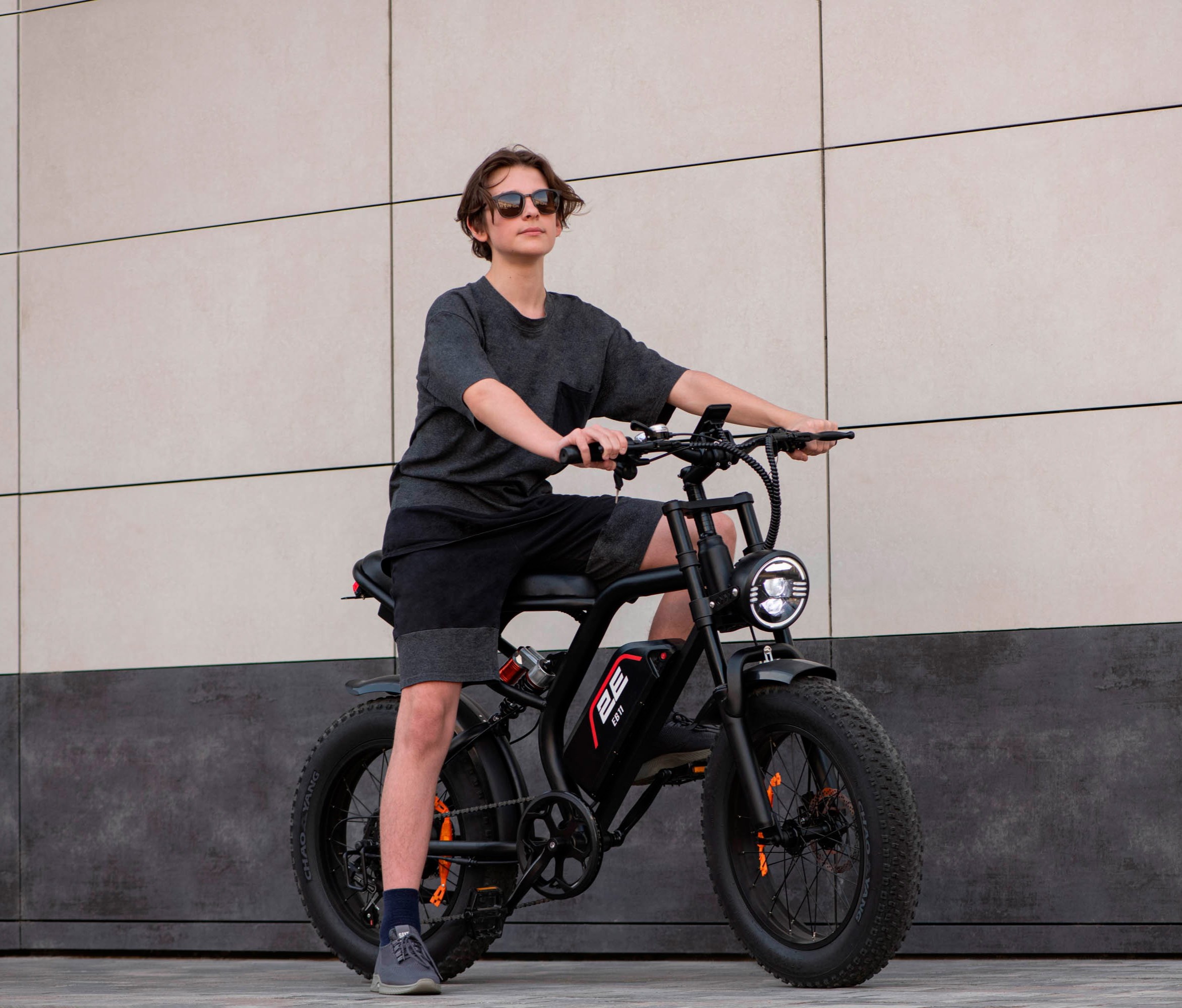 Электровелосипед 2E EB11 Black/Red недорого