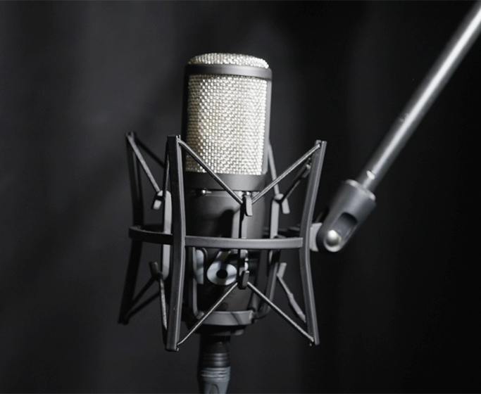 Микрофон AKG Perception P420 является универсальным решением для студийной записи