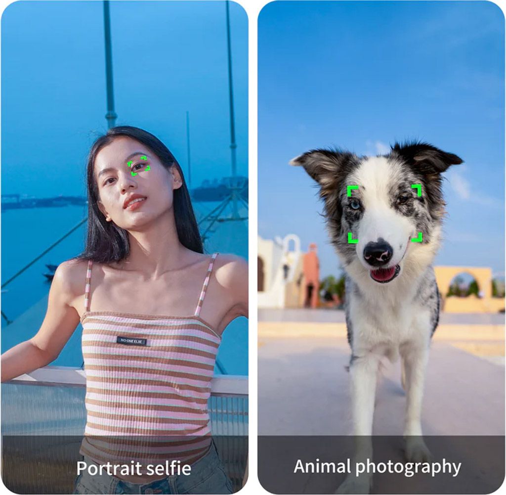 5_d07640f9-637f-4590-8db1-742ae5fcb941.jpg