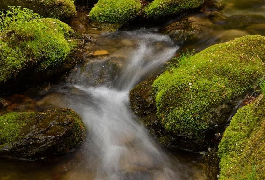 nikon_NIKKOR_AF-S-DX-Micro-NIKKOR-40mm-f2.8G_landscapes--original.png nikon_NIKKOR_AF-S-DX-Micro-NIKKOR-40mm-f2.8G_landscapes--original.png