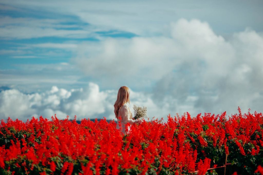 x-t5_natthakit_07.jpg