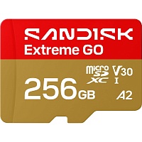 Карта пам'яті SanDisk microSDXC Extreme GO 256GB Class 10 UHS-I V30 A2 (SDSQXGN-256G-GN6MN) - придбати в Дніпрі, Україні: ціна, характеристики | інтернет-магазин TOUCH