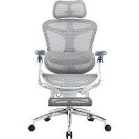 Офісне крісло Sihoo DORO C300 Pro Mesh with Footrest White (DORO-C300-PRO-M102-JT) - придбати в Дніпрі, Україні: ціна, характеристики | інтернет-магазин TOUCH